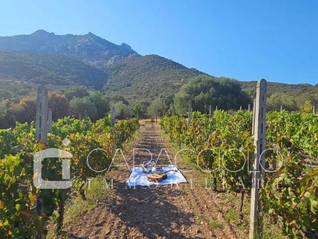 Villetta indipendente in vendita di 201 m²