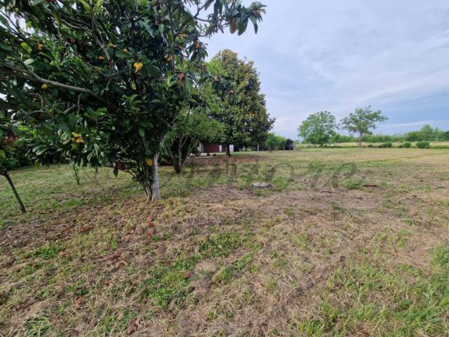 Villetta indipendente in vendita di 210 m² in Via Noalese Sud