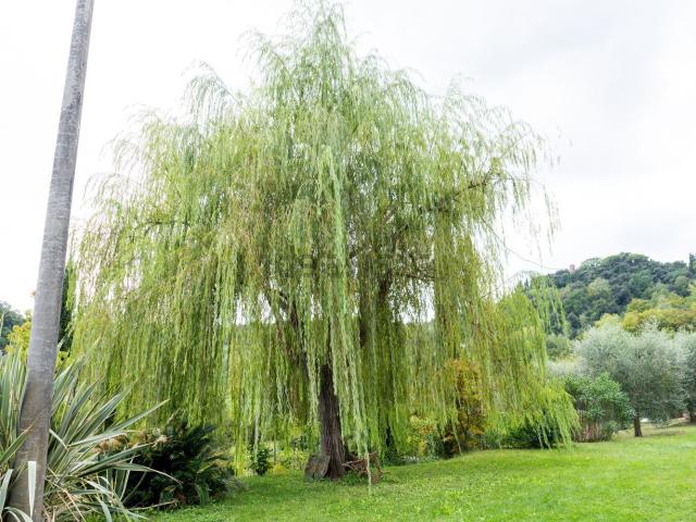 Villetta indipendente in vendita di 218 m² in Via Palagio, 4