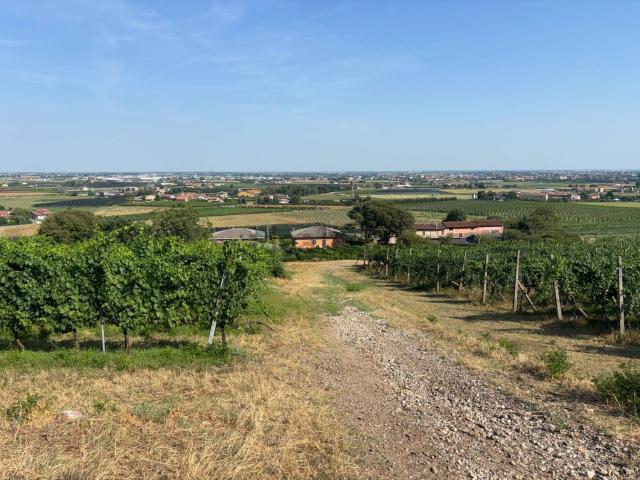 Villetta indipendente in vendita di 220 m² in Via Cappello, 12