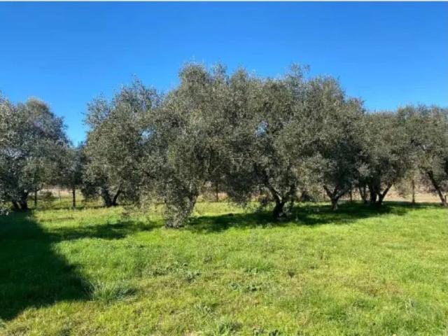 Villetta indipendente in vendita di 240 m²