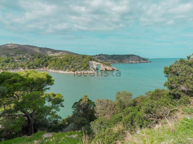 Villetta indipendente in vendita di 2500 m² in Località scialmarino Nr. CAP 71019