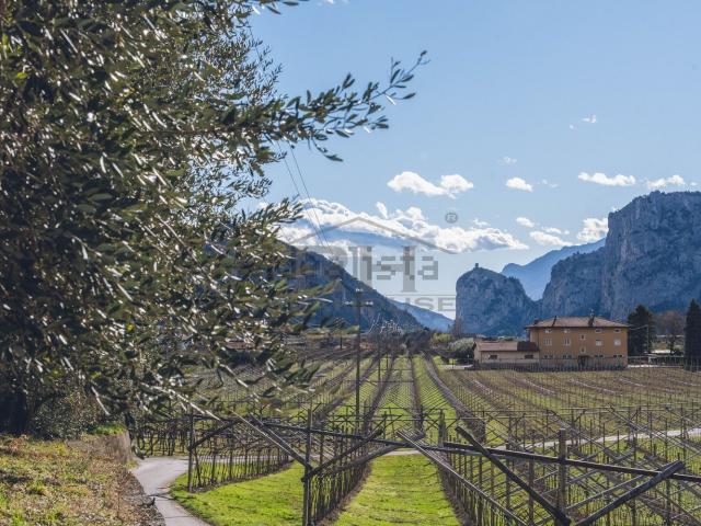 Villetta indipendente in vendita di 250 m² in Località Ronchi, 13