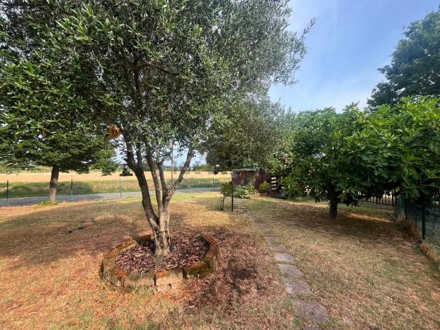 Villetta indipendente in vendita di 265 m² in Via Casona