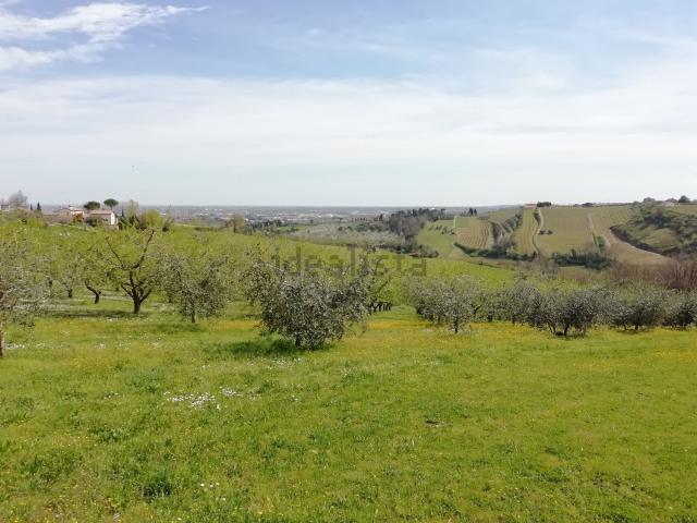 Villetta indipendente in vendita di 300 m² in Via Madonna dell&apos Olivo