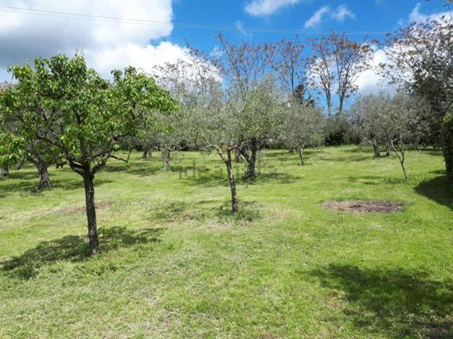 Villetta indipendente in vendita di 300 m² in Via per Cerbaia