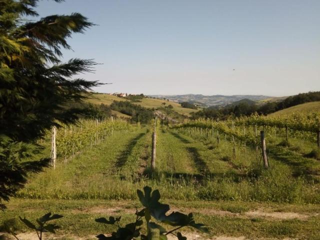 Villetta indipendente in vendita di 330 m² in Via Pescarola di Sopra, 1372