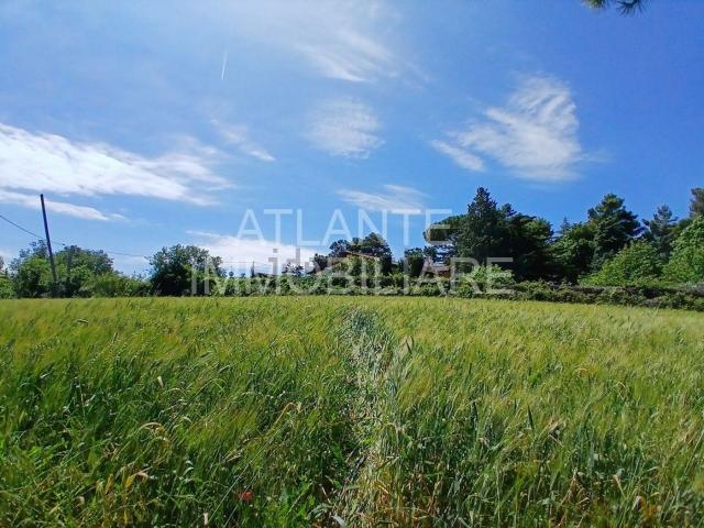 Villetta indipendente in vendita di 332 m² in Via Castellaro, 24
