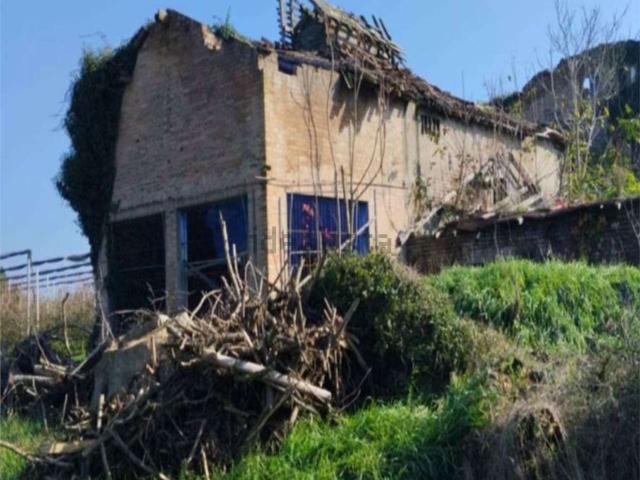 Villetta indipendente in vendita di 359 m² in Via Viazza, 109