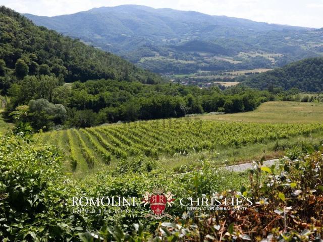 Villetta indipendente in vendita di 360 m²