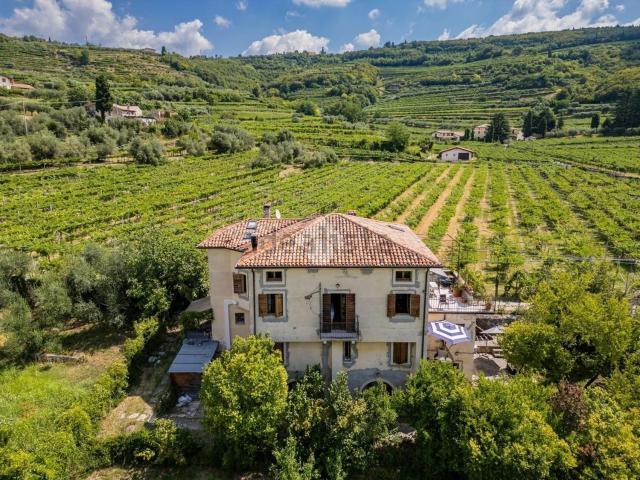 Villetta indipendente in vendita di 375 m²