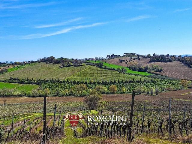 Villetta indipendente in vendita di 390 m²