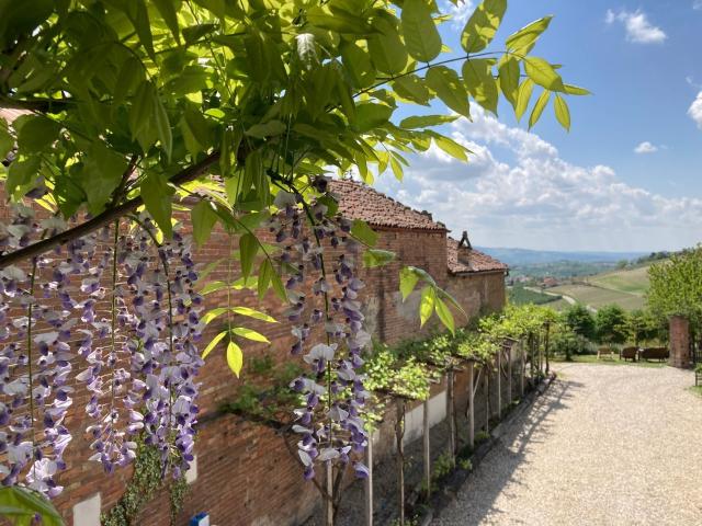 Villetta indipendente in vendita di 390 m² in Via Regina Margherita, 25