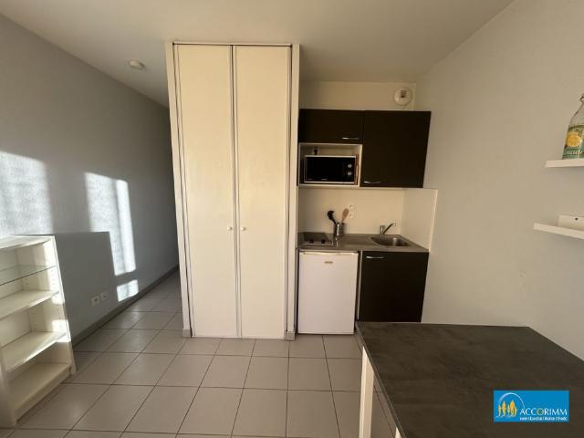 VILLEURBANNE 1 pièce s MEUBLE 20.66 m2 Villeurbanne 69100