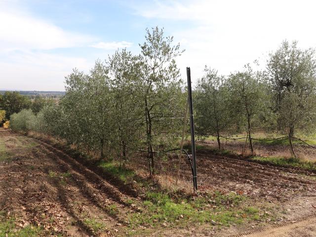 VILLINO in VENDITA a CIVITELLA IN VAL DI CHIANA di 5 vani