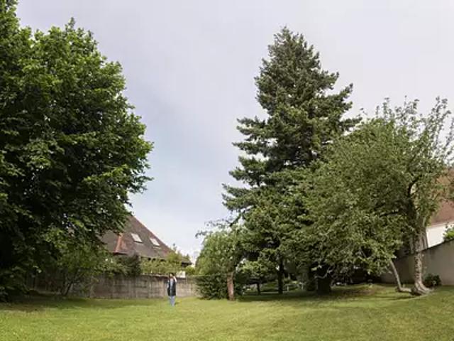 Villiers sur Marne 94350 Achat / Vente maison 9 pièces t9 jardin cave