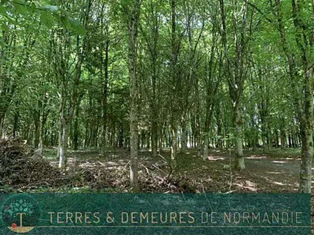 Vire Normandie 14500 Achat / Vente maison 1 pièce t1