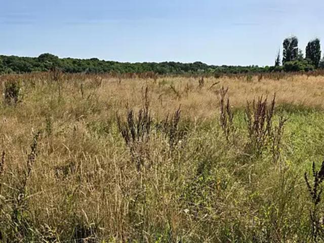 Viré 71260 Programme neuf maison neuf à vendre 6 pièces