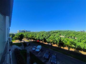 Virginia Mattio CSI 6752 Coldwell Banker Puerto Norte Group