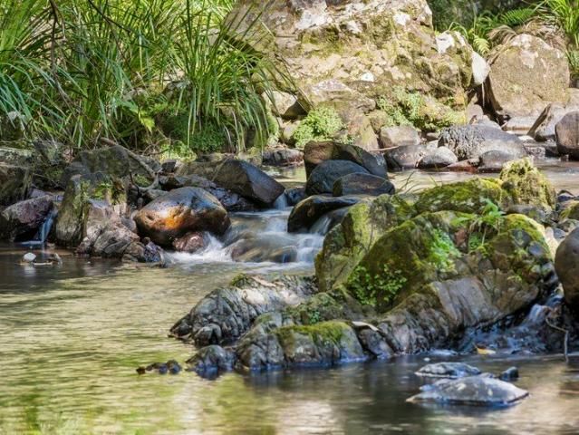 Viridian Surrounded by Nature Tweed Valley NSW