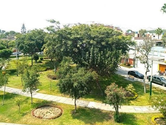 Vista a parque Cuarto con bano a una cuadra de la UTEC BARRANCO
