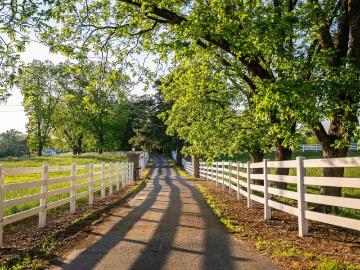 Fayette County, Alabama, Alabama, USA