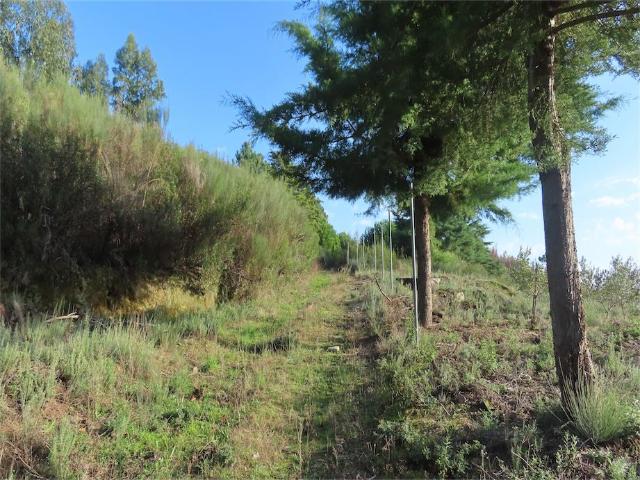 Vistas mais surpreendentes, Espetacular Quinta Biológica com vistas únicas e uma área total de 47.400 m2, confinando com um pequeno riacho. Possibilidade de construir uma nova moradia com uma área máxima de 300 m2. Excelentes acessos para qualquer tipo de veículo. Eletricidade muito próxima e disponível para conexão. Perto de uma aldeia com comércio e serviços