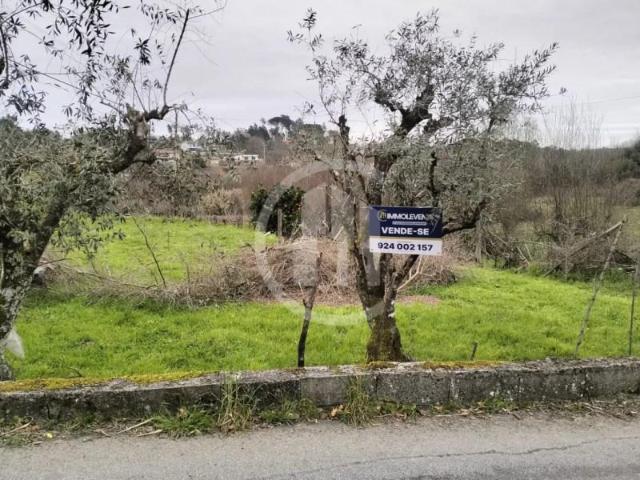 Viseu Viseu 98106324
