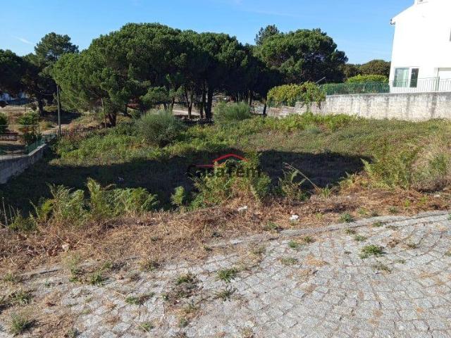 Viseu Viseu 3510 97189240