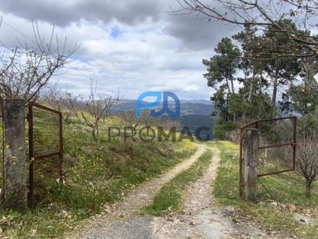 Viseu Resende 4660 100298878