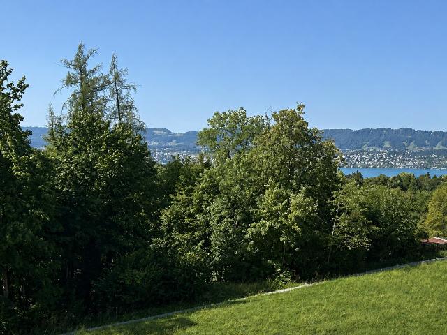 VITO Witikon: Zürichs Logenplatz