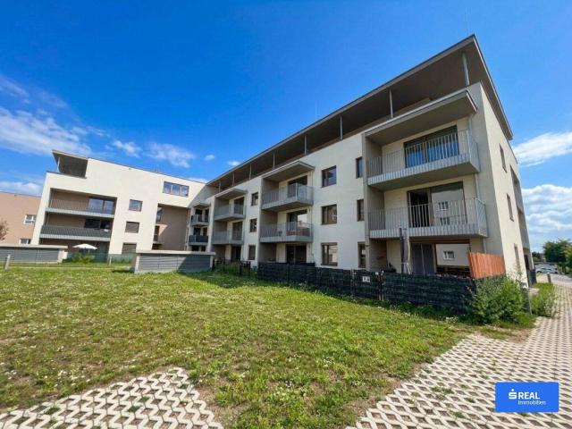 Vitrino Neubau Erstbezug