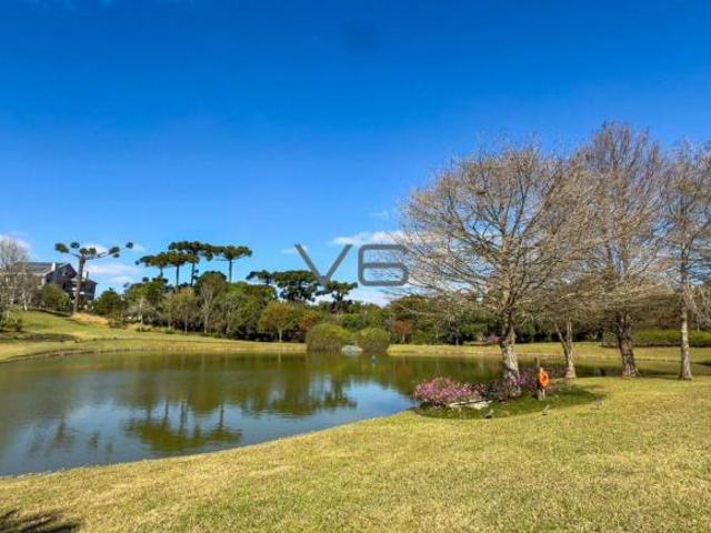 Viva com Ar de Campo na Cidade: Lote de 568m² no Alphaville Pinheiros