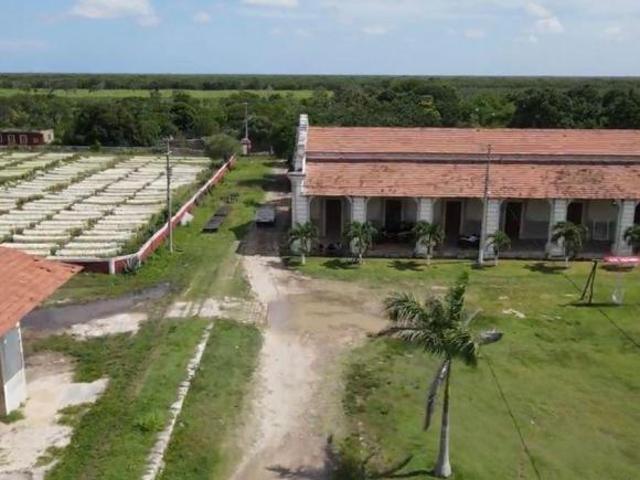 Vive o invierte entre historia y playa en Yucatán