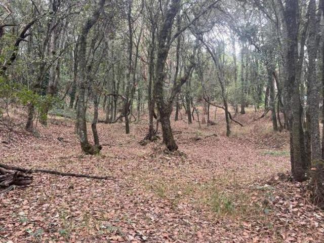 Vive el Bosque, Vive Tlalpuente, terreno en Venta