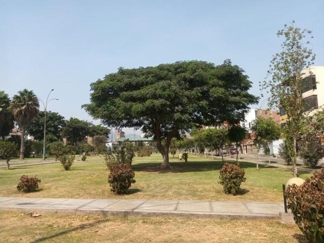 Vive frente a un parque en una casa que genera dinero