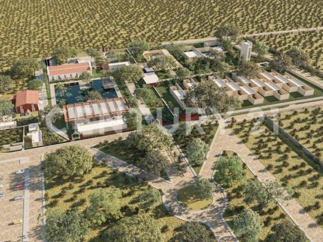 Vive la Magia de la última Hacienda Henequenera en Yucatán