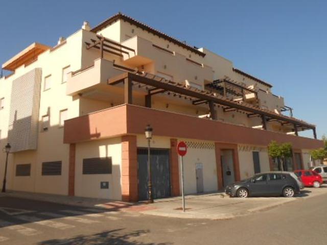 Vivienda + 2 Garajes en La Palma del Condado, Huelva. Activo Inmobiliario Sin Posesión / Alquilado / No se Puede Visitar