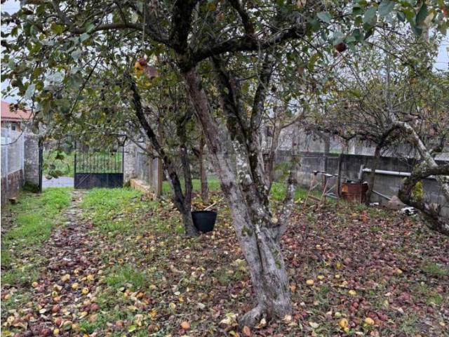 VIVIENDA UNIFAMILIARA EN VENTA EN BAZ