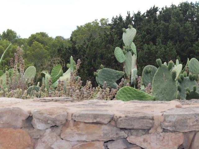 Vivienda de alto standing de 155 m2 en venta Sant Francesc de Formentera, España