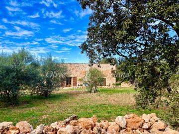 Villa en venta en Calle de Oliver de Termes - Terraza
