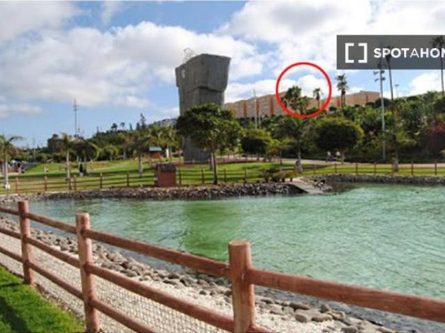 Vivienda de alto standing de 92 m2 en alquiler Las Palmas de Gran Canaria, España