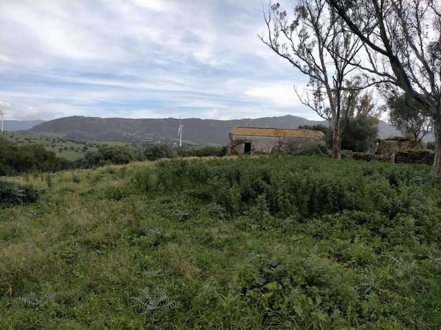 Vivienda de alto standing en venta Tarifa, Andalucía
