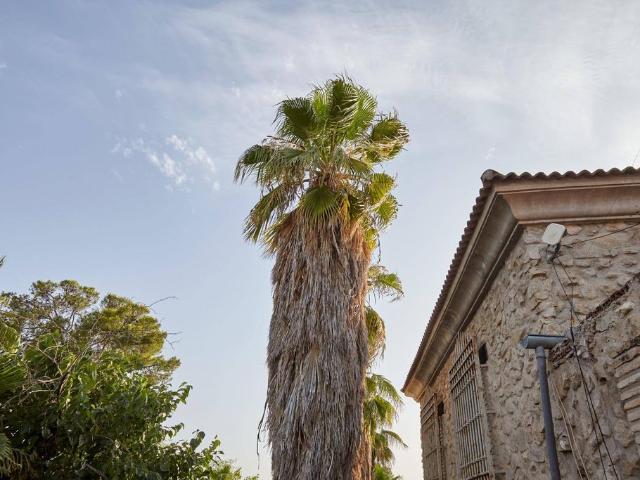 Vivienda de lujo de 1646 m2 en venta Jaén, España