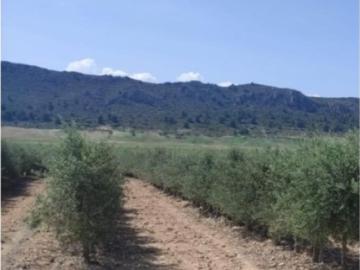 Vivienda de lujo de 10000000 m2 en venta Alicante, España