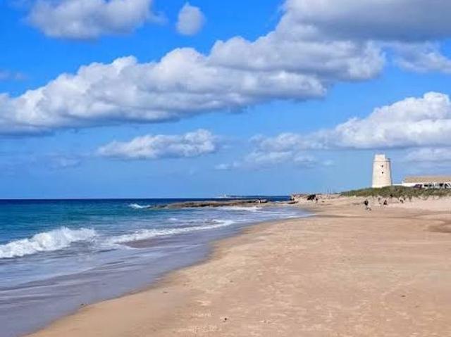 Vivienda de lujo de 640 m2 en venta Vejer de la Frontera, Andalucía