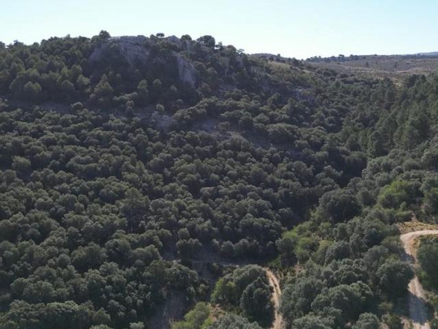 Vivienda de lujo en venta Pontones, España