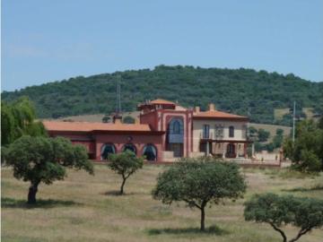 Vivienda exclusiva de 10800 m2 en venta Puebla de Don Rodrigo, Castilla La Mancha