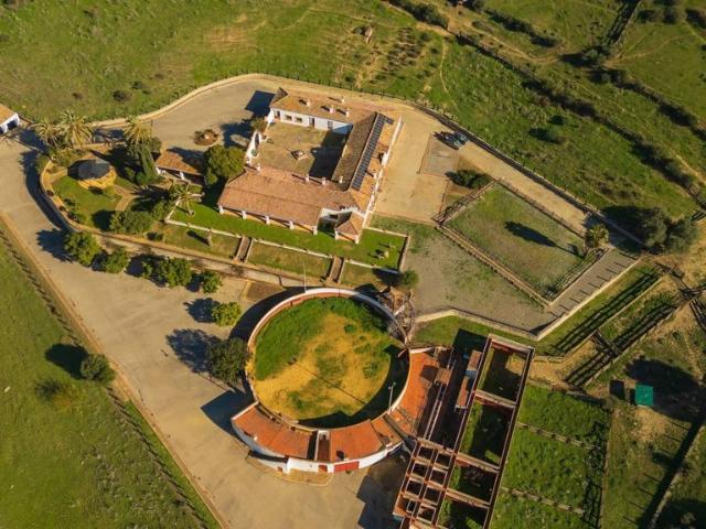Vivienda exclusiva de 1200 m2 en venta San Martín del Tesorillo, España