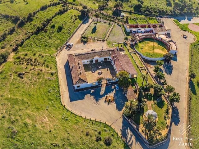 Vivienda exclusiva de 1200 m2 en venta San Martín del Tesorillo, España